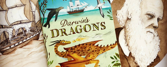 Interview with author Lindsay Galvin