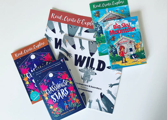 Recommended Reads: Moving On To Chapter Books