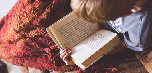 Our reading tips on the Babbily blog!