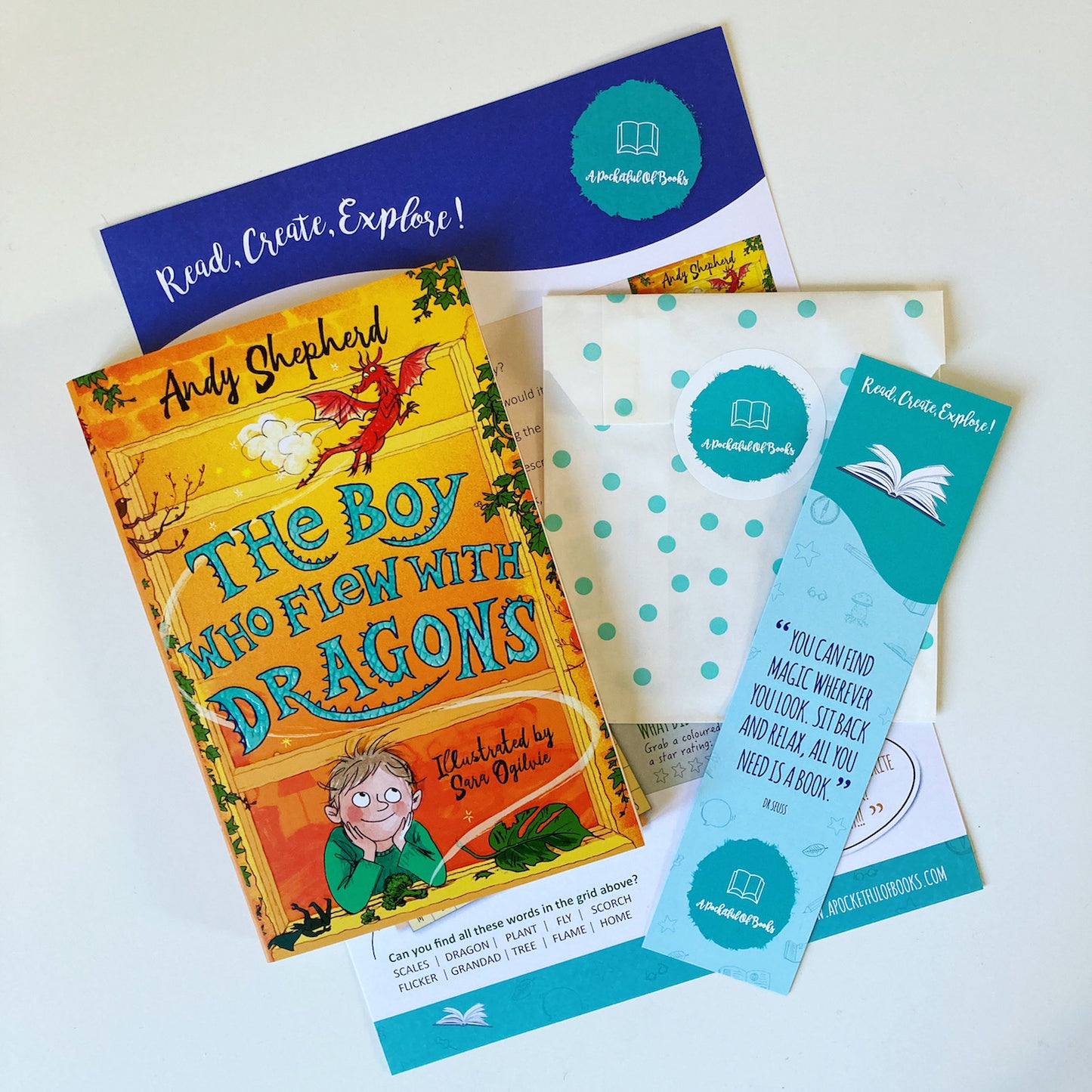 The Boy Who Flew With Dragons (Junior Reader)