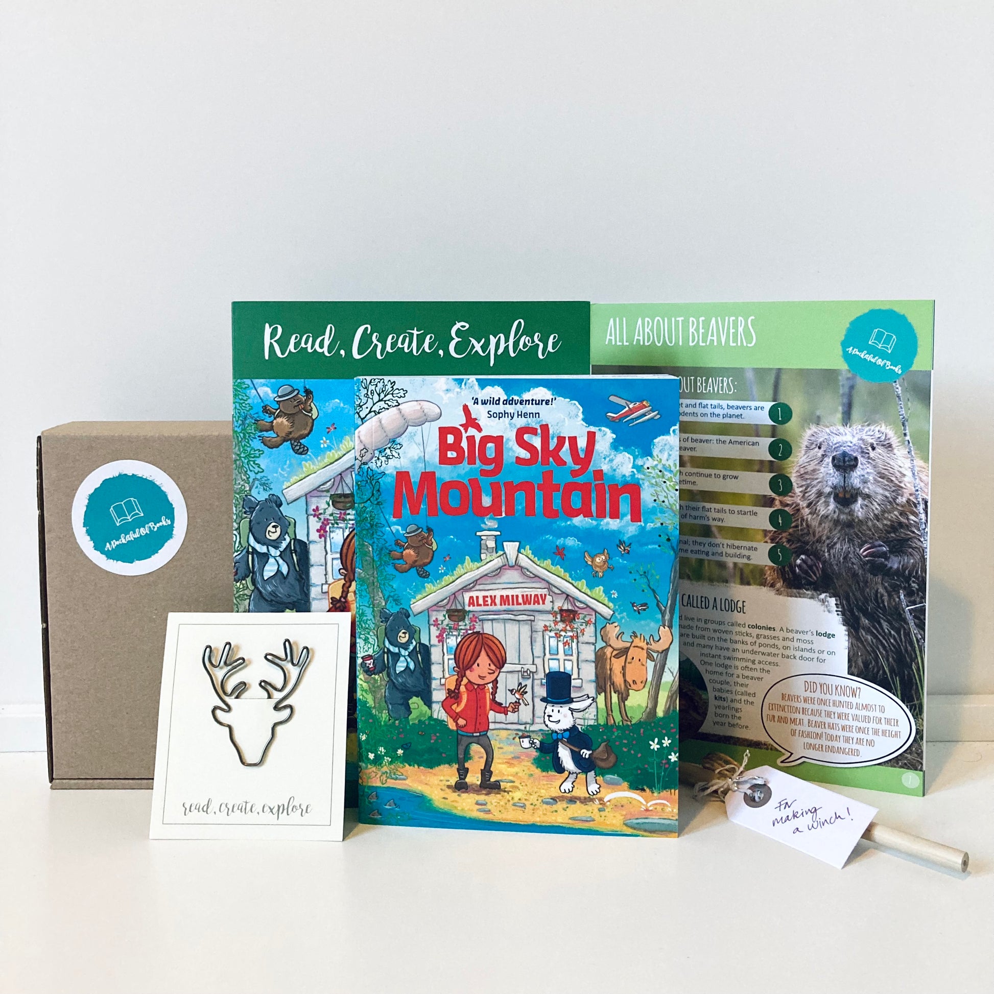 Gift subscription for kids, monthly book subscription boxes